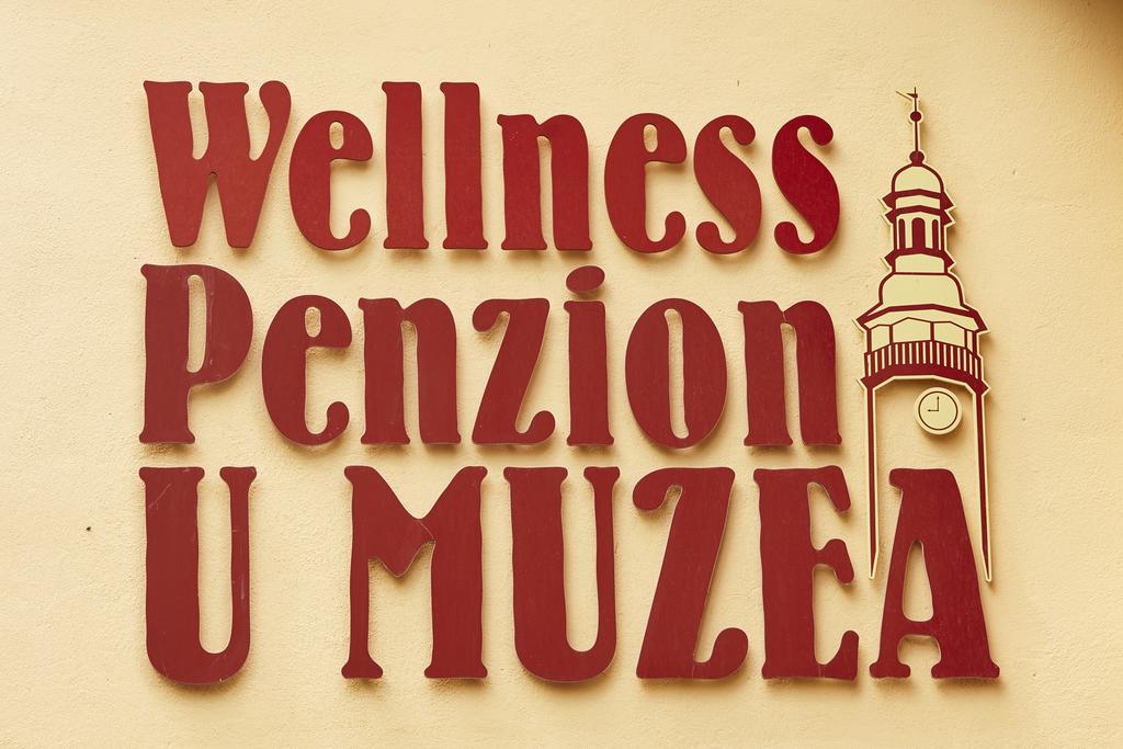 Wellness Penzion U Muzea Hotel Liberec Exterior foto